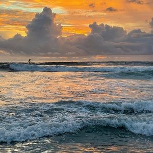 Meet your Posher, Alanna